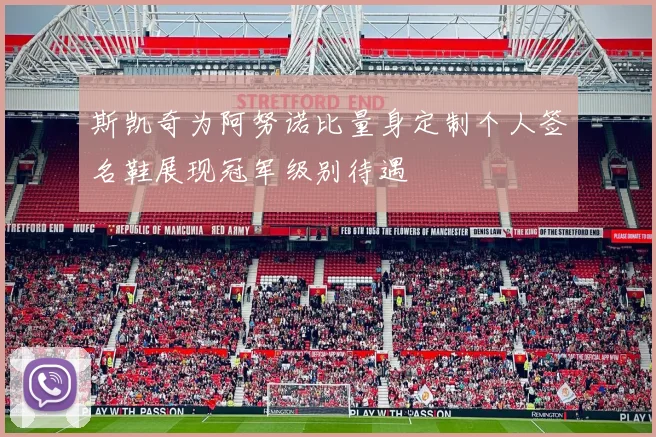 斯凯奇为阿努诺比量身定制个人签名鞋展现冠军级别待遇