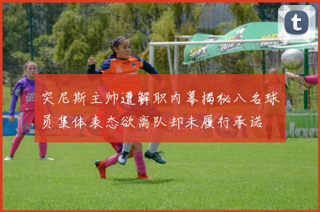 突尼斯主帅遭解职内幕揭秘八名球员集体表态欲离队却未履行承诺