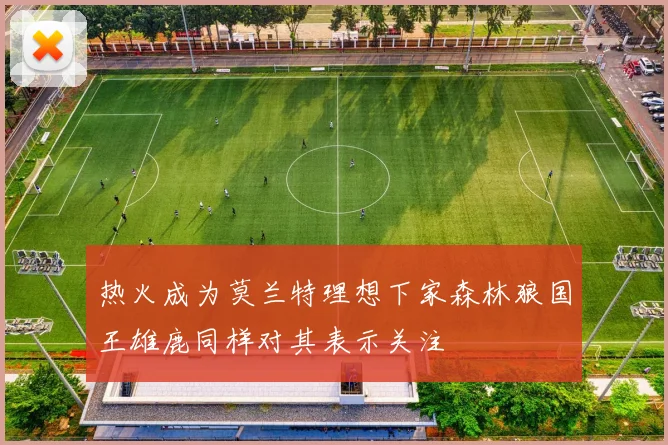 热火成为莫兰特理想下家森林狼国王雄鹿同样对其表示关注